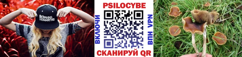 как найти закладки  Стародуб  OMG ТОР  Галлюциногенные грибы прущие грибы 